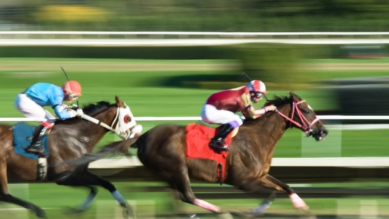 Bet on Horses